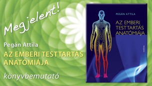 Az emberi testtartás anatómiája 