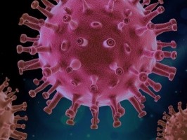 A COVID-19 immunológiai és reumatológiai vonatkozásai