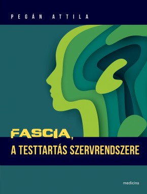 Fascia, a testtartás szervrendszere 2377
