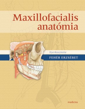 Maxillofaciális anatómia (4. kiadás) 2388