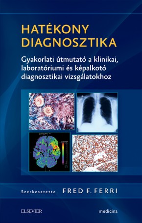 Hatékony diagnosztika 2676
