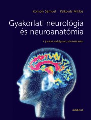 neurológia és látás